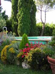 Piscina e terrazza dell'agriturismo -- offerte last minute in agosto 2010.