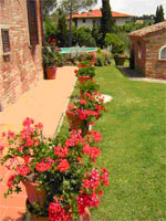 agriturismo a castiglione del lago - offerte last minute in agosto 2010.