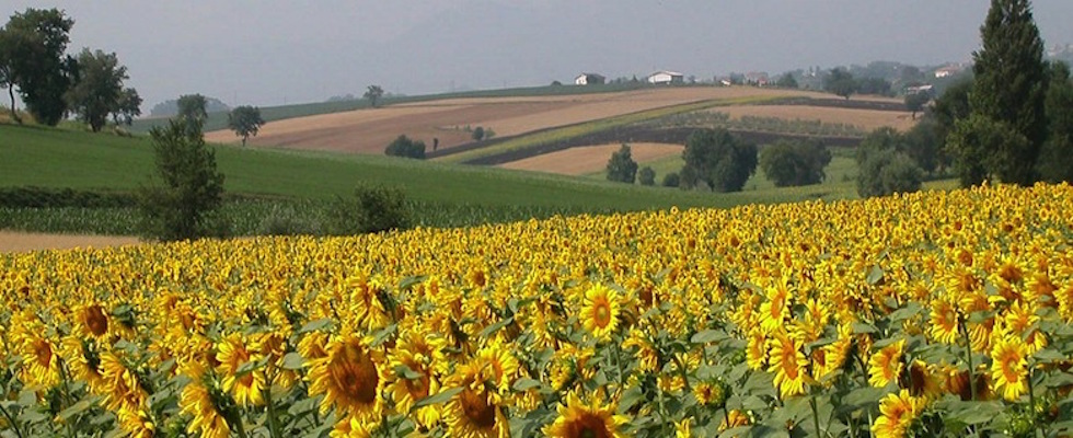 ingresso villa con piscina  Umbria
